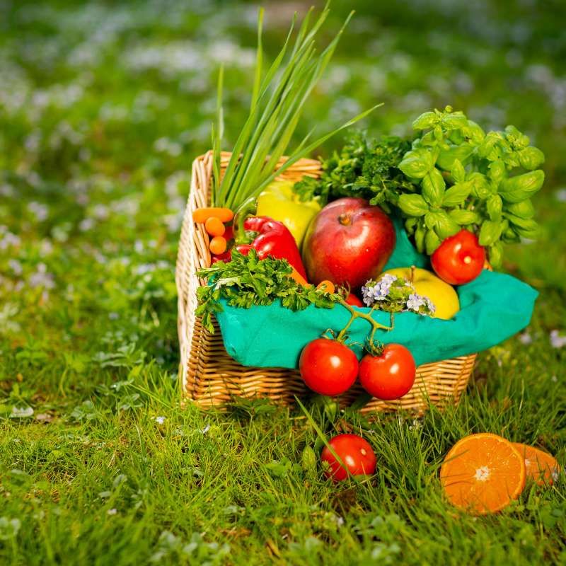 Verduras en cesta