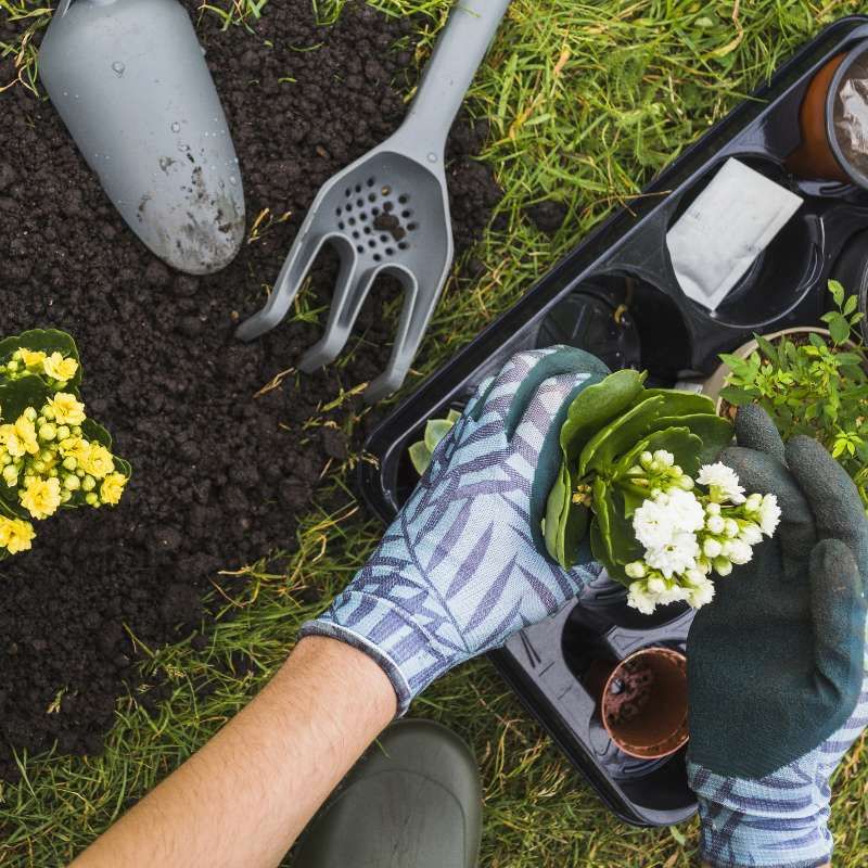 Persona con guantes plantando en jardin